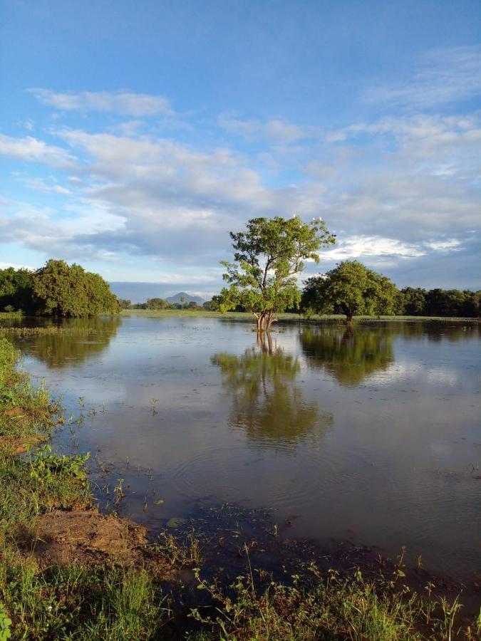 Lake Edge Dambulla Luaran gambar
