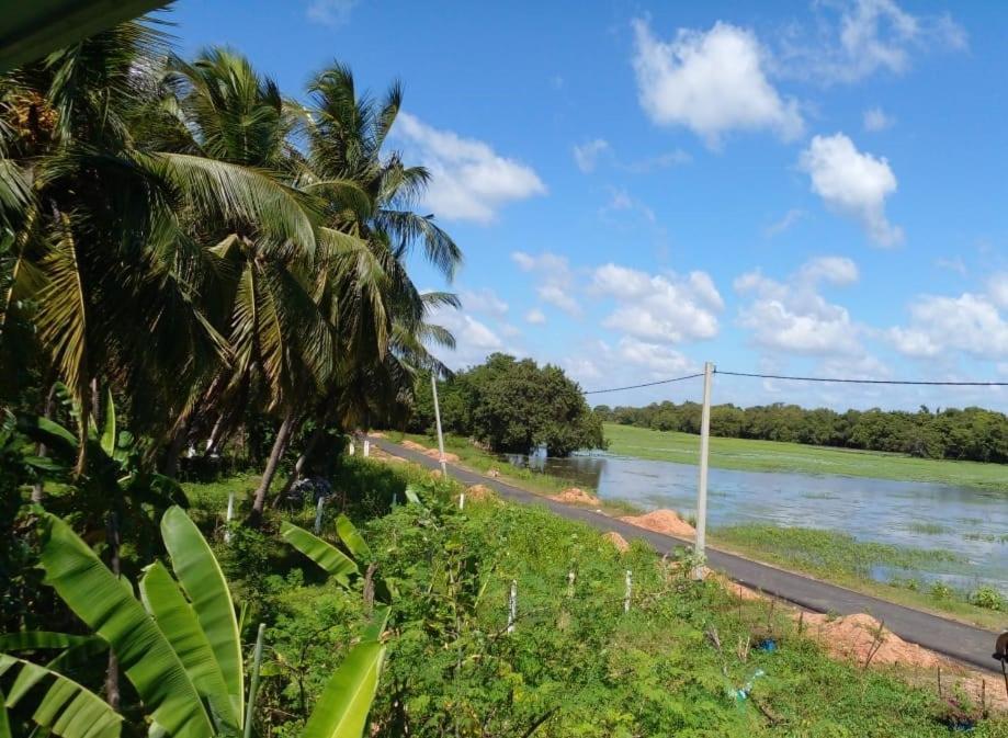 Lake Edge Dambulla Luaran gambar