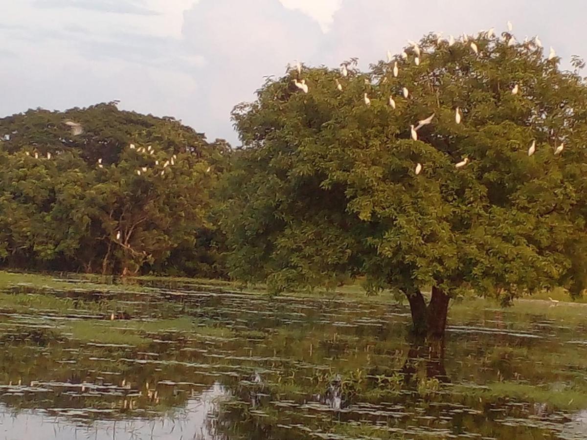 Lake Edge Dambulla Luaran gambar
