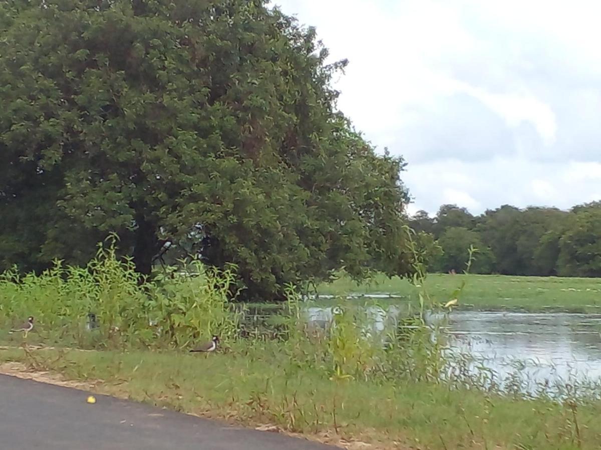 Lake Edge Dambulla Luaran gambar