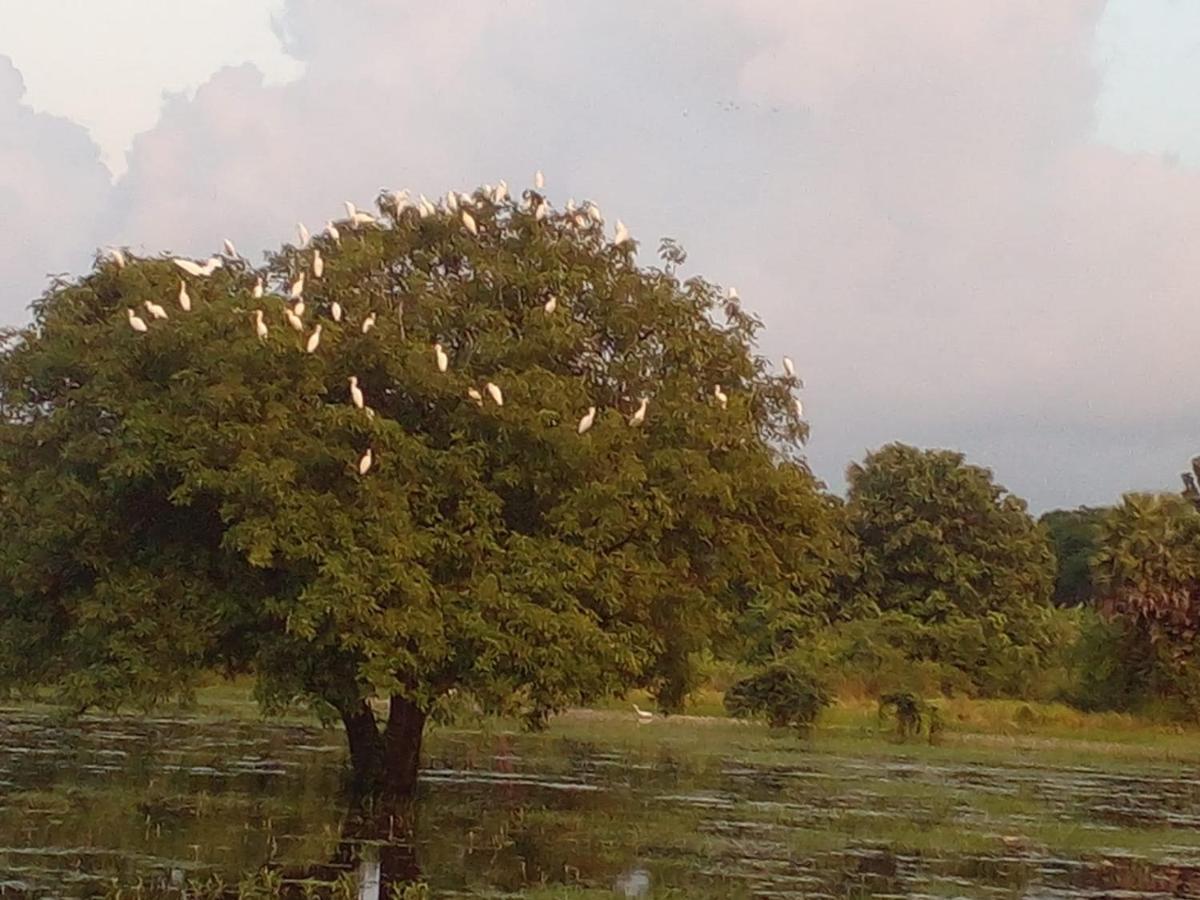 Lake Edge Dambulla Luaran gambar
