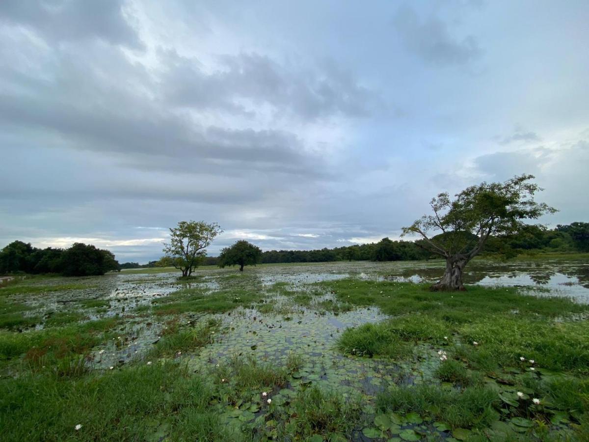 Lake Edge Dambulla Luaran gambar